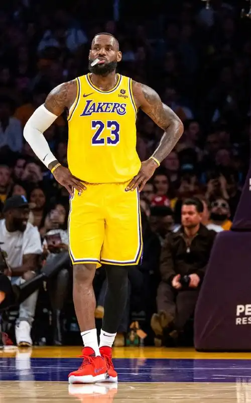 米兰体育链接-湖人胜凯尔特人,詹姆斯29+8